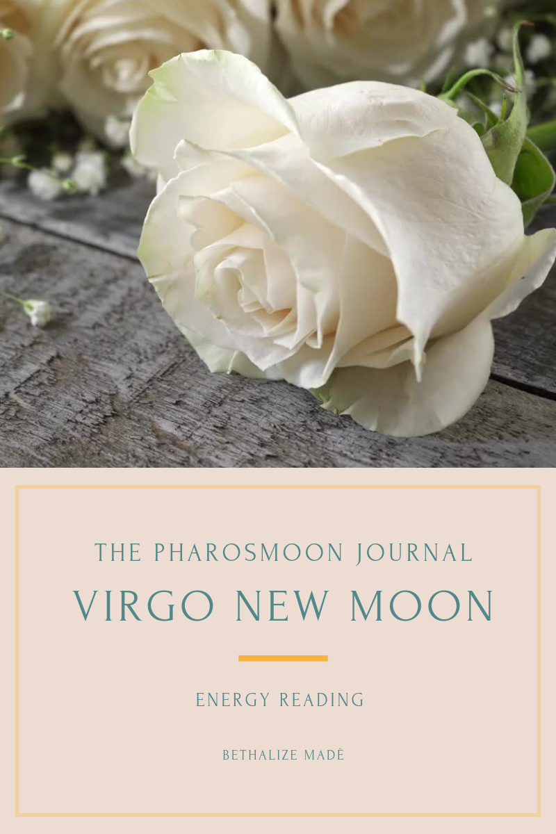 New Moon in Virgo Energy Reading
