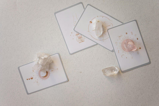 Align and Shine Bundle Kit